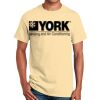 Ultra Cotton™ 100% Cotton T Shirt Thumbnail