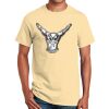 Ultra Cotton™ 100% Cotton T Shirt Thumbnail