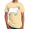 Ultra Cotton™ 100% Cotton T Shirt Thumbnail