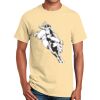 Ultra Cotton™ 100% Cotton T Shirt Thumbnail