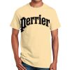 Ultra Cotton™ 100% Cotton T Shirt Thumbnail