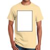 Ultra Cotton™ 100% Cotton T Shirt Thumbnail