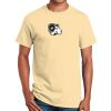 Ultra Cotton™ 100% Cotton T Shirt Thumbnail