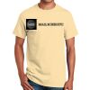Ultra Cotton™ 100% Cotton T Shirt Thumbnail