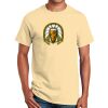 Ultra Cotton™ 100% Cotton T Shirt Thumbnail