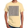 Ultra Cotton™ 100% Cotton T Shirt Thumbnail
