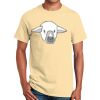 Ultra Cotton™ 100% Cotton T Shirt Thumbnail
