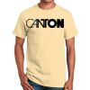 Ultra Cotton™ 100% Cotton T Shirt Thumbnail