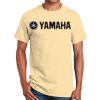 Ultra Cotton™ 100% Cotton T Shirt Thumbnail