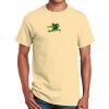 Ultra Cotton™ 100% Cotton T Shirt Thumbnail