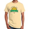 Ultra Cotton™ 100% Cotton T Shirt Thumbnail