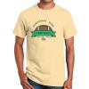 Ultra Cotton™ 100% Cotton T Shirt Thumbnail